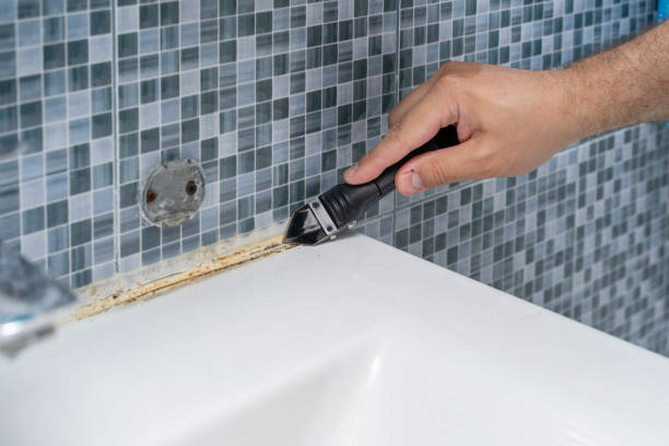 Best Commercial Mold Removal  in St Rose, LA